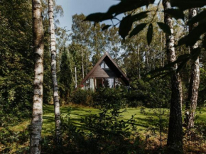 Waldhaus Heidetraum Comfortable holiday residence